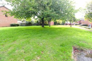 Outlook- click for photo gallery